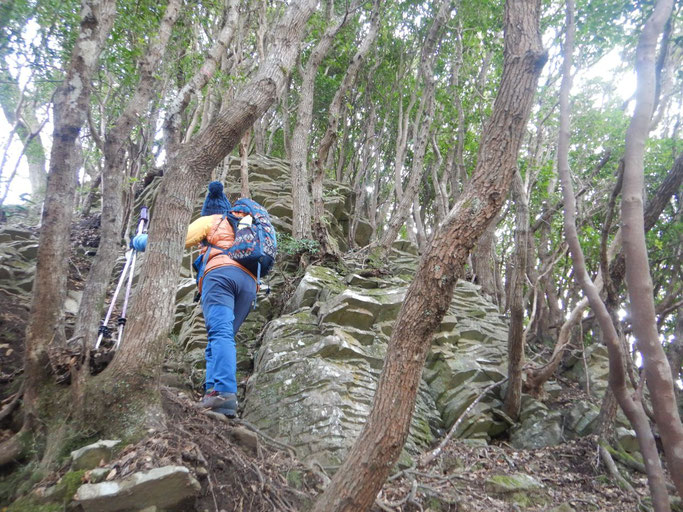 背面登山道の板状節理