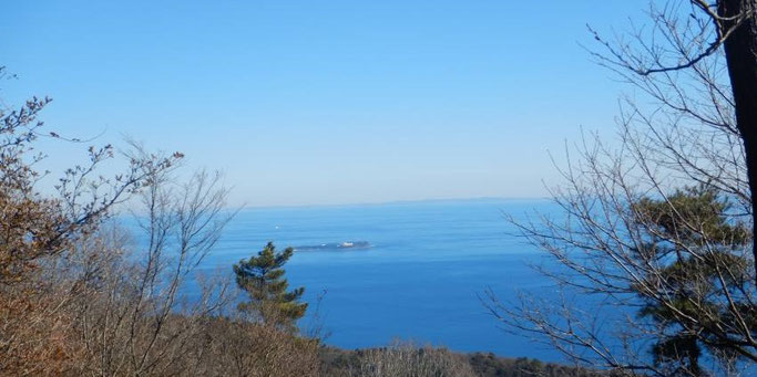 初島と房総半島