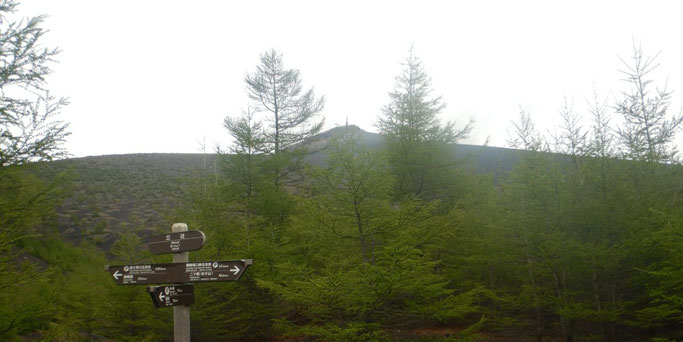 三辻より宝栄山