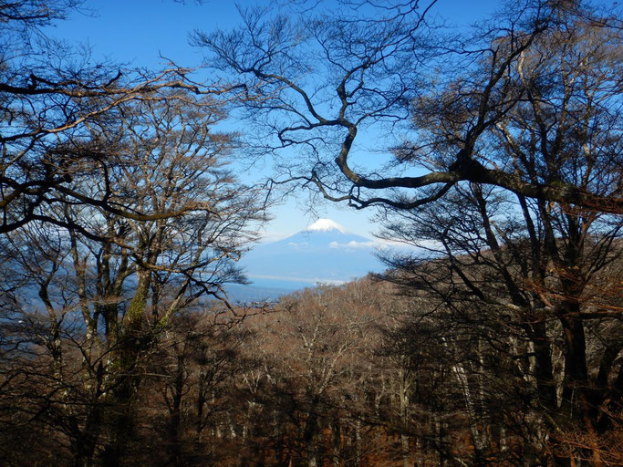 白砂天井より
