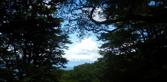 白砂天井