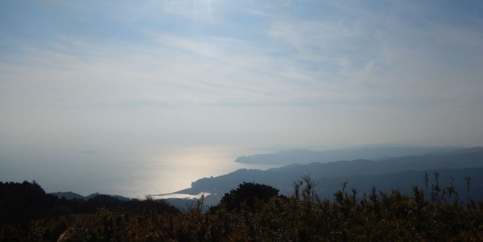 相模灘と東海岸