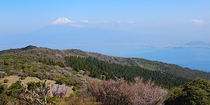 金冠山山頂より