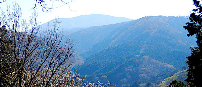 遠笠山