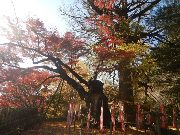 益山寺