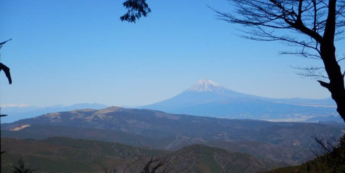 富士山と達磨山（手前）