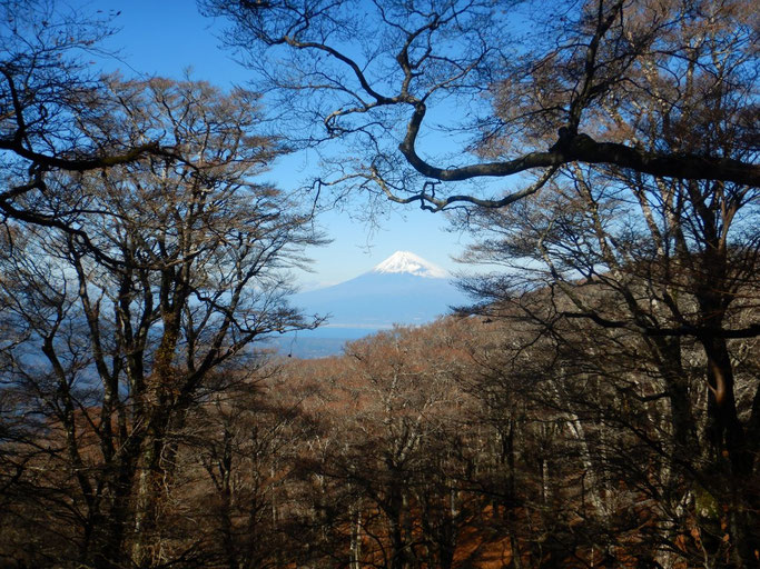 白砂天井より