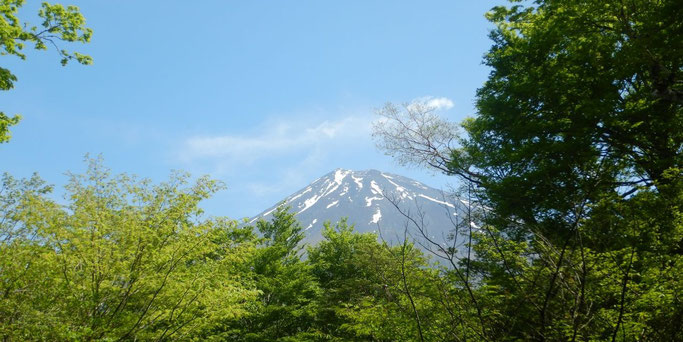 西臼塚より
