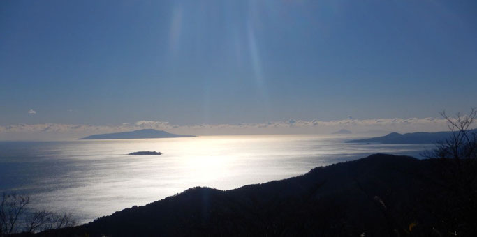 初島、伊豆大島、利島、新島・・・