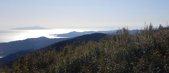 伊豆大島・利島