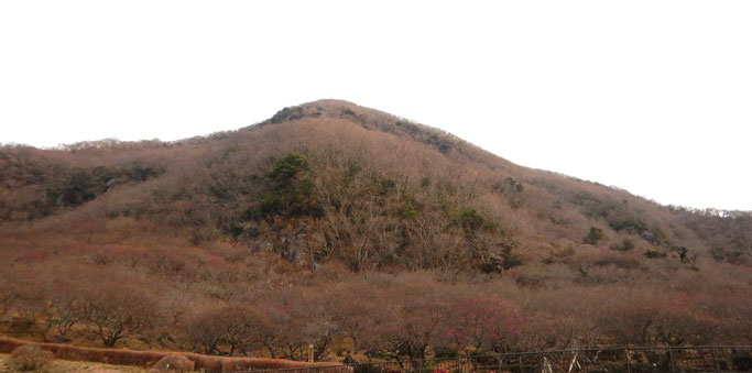 幕山
