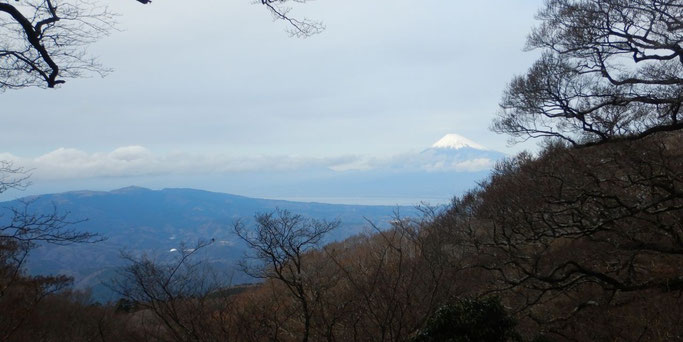 白砂天井より