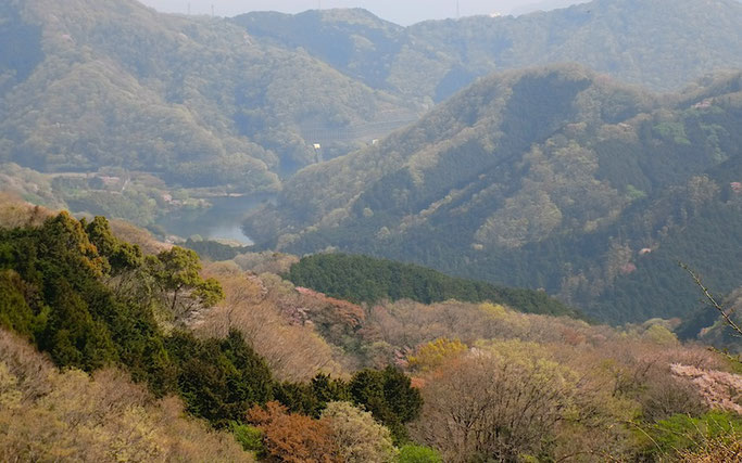 池の峰から483mピーク・松川湖