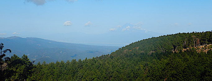 達磨山と富士山