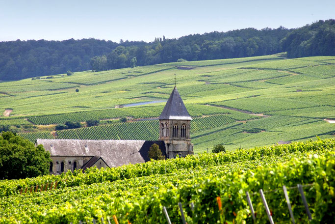 Région Champagne-Ardenne