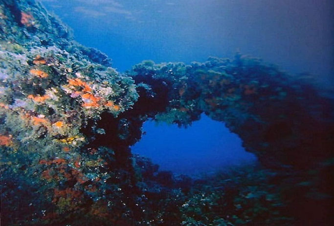 La Isla de Tabarca, situada frente a la ciudad de Alicante, es la única isla habitada de la Comunidad Valenciana y fue la primera Reserva Marina declarada en España (1986).