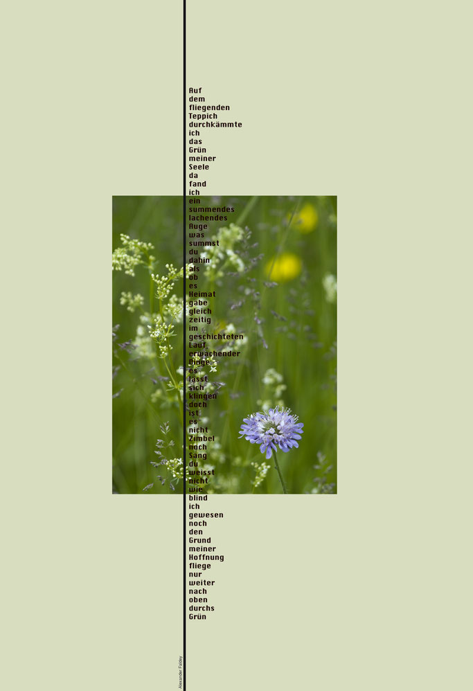 Schichtung 1