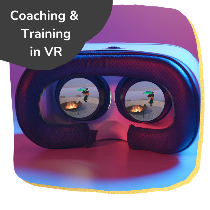 Premium Coaching & Training in der Virtuellen Welt