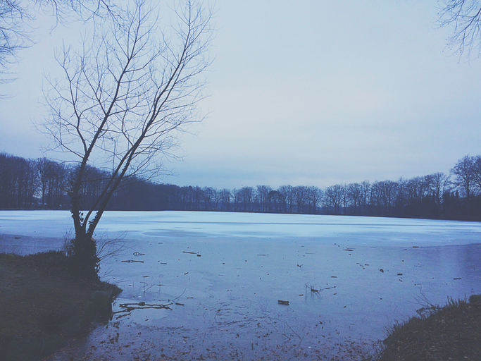 Back home in the North. Not that much snow.