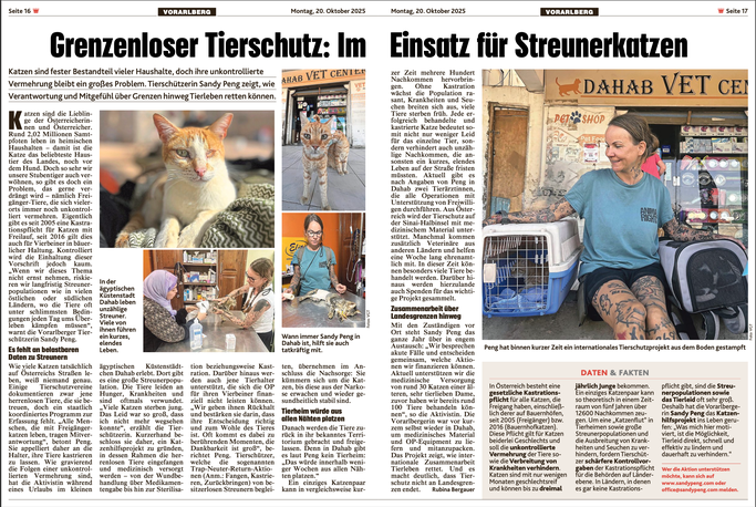 Sandy P. Peng, Streetcats Dahab, KRONE Vorarlberg 