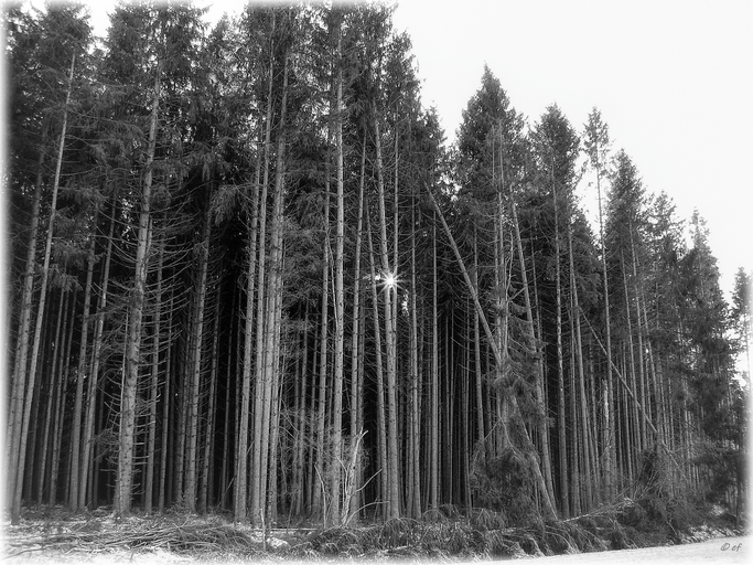 Durchdringendes Licht