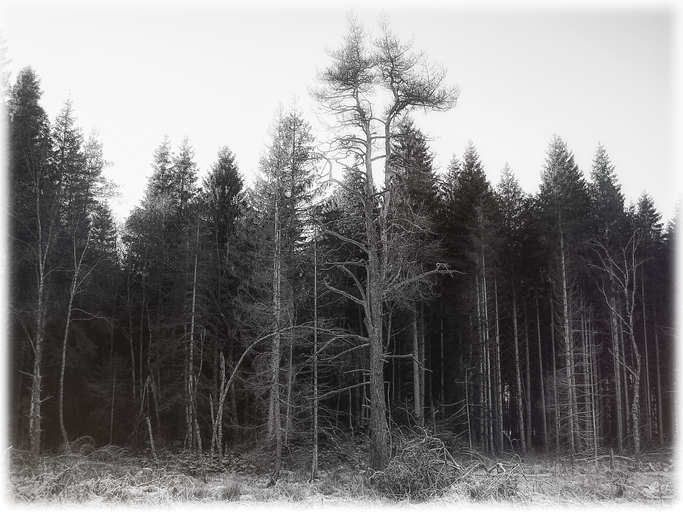 Geteilt und doch eins
