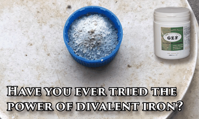 Have you ever tried the power of Divalent Iron?