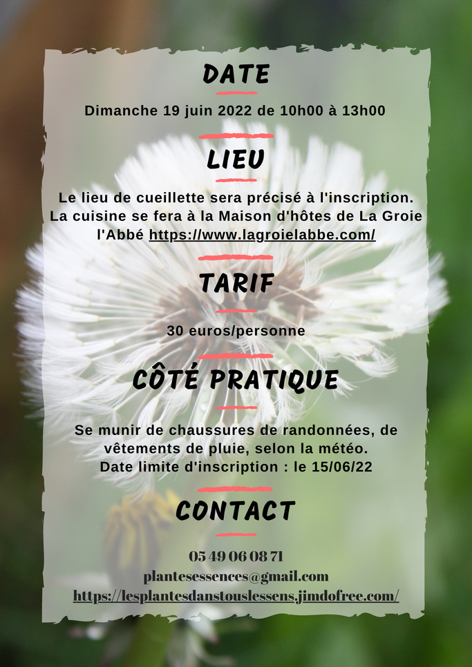 #lesplantesdanstouslessens#plantessauvages#aromathérapie#huilesessentielles#suddeuxsèvres#melle#paysmellois