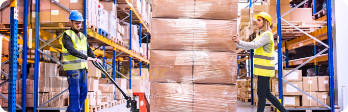 Grupo Capacitador - Curso NOM-036-STPS-2018 Factores de riesgo ergonómico en el Trabajo -Identificación, análisis, prevención y control. Parte 1: Manejo manual de cargas