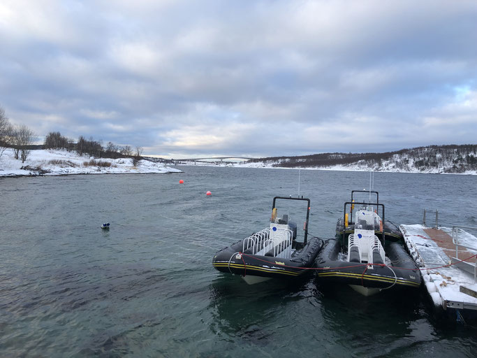 #Saltstraumen, Kreuzfahrt Rib Boot Tour, Aida 