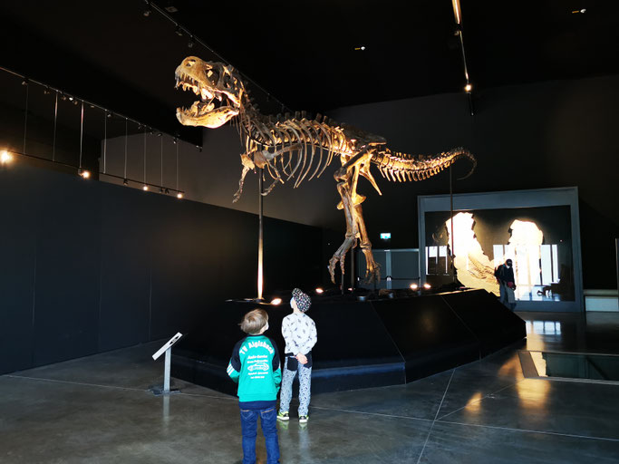 Kinder vor einem Ichthyosaurus-Fossil im Dinomuseum Altmühltal
