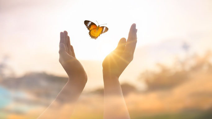 Hände mit Schmetterling- Transformation mit Hypnose