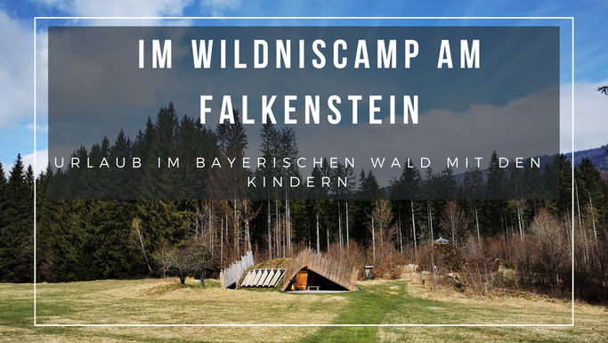 Wildniscamp Falkenstein mit Kindern