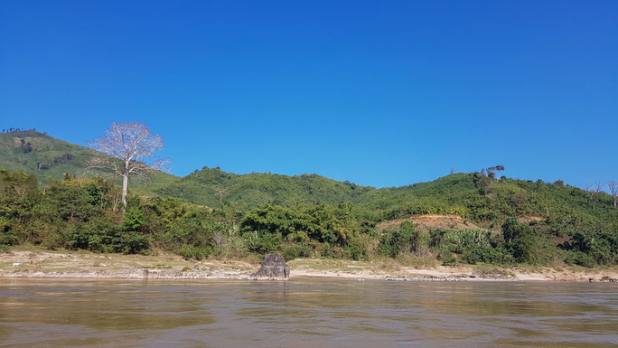 Fahrt auf dem Mekong mit dem Slowboat