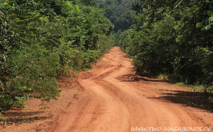 AMAZONAS-ROAD