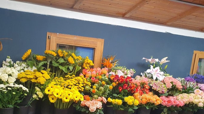 Blumenladen mit frische Blumen Auswahl bunt Sonnenblumen, Rosen und Gerbera mitten in Muenchen