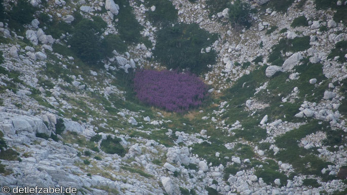 Biokovo National Park