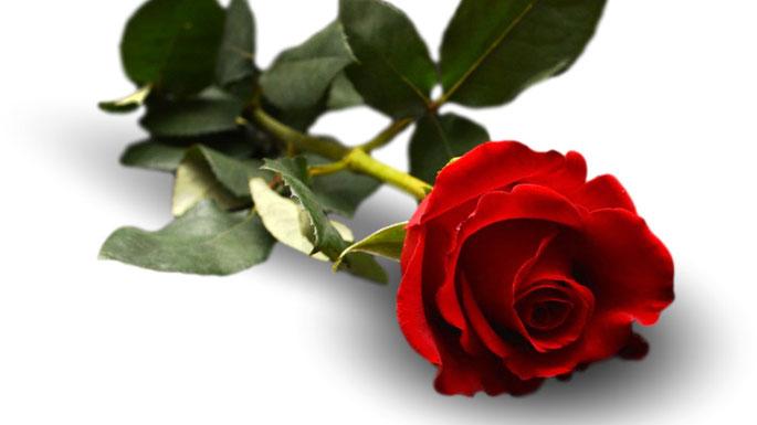 Foto: canva.com