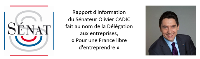 Pour une France libre d'entreprendre - Rapport d'information par Olivier CADIC