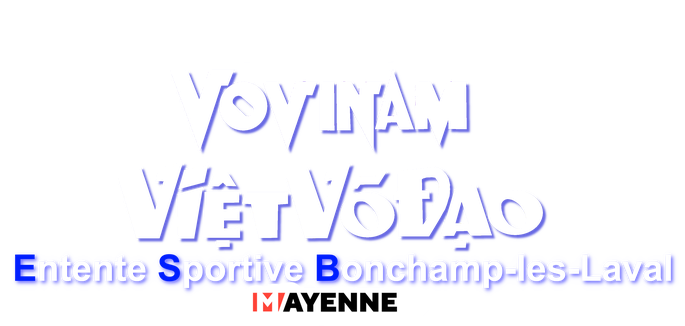 Vovinam Viet Vo Dao Bonchamp Les Laval