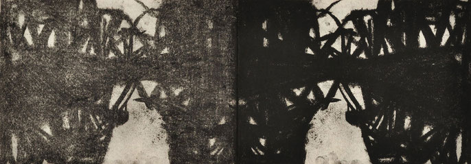 Down River Dark I-1, 2010: charcoal & pastel on paper, 21x59cm (series of 50)