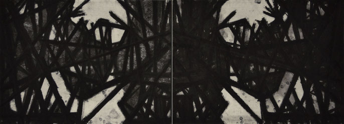 Down River Dark II- 1, 2010: charcoal & pastel on paper; 2 parts, total 56x152cm (series of 8)