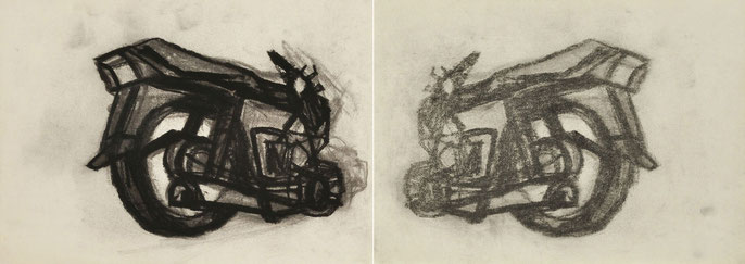 KRP I-2, 2010: charcoal & pastel on paper; 30x82cm (series of 25)