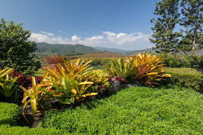 Aussicht vom Singha Park in Chiang Rai