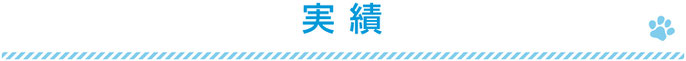 実績