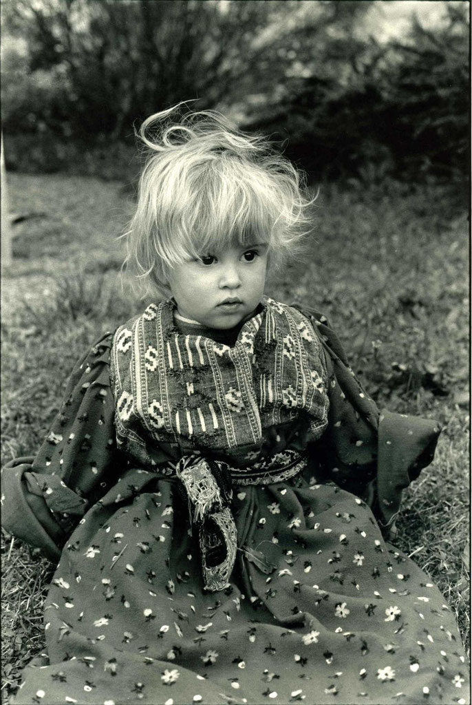 Noé - 1982