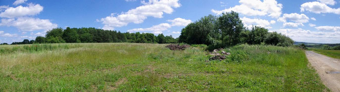 Verdun - Verdunbilder - René Reuter 