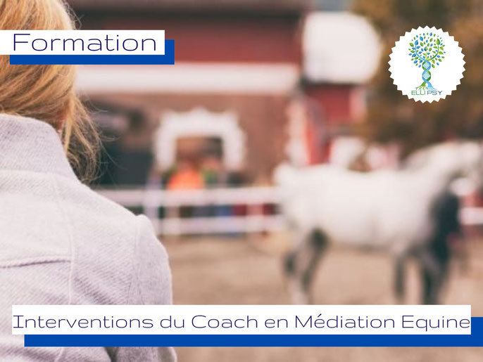 ellipsy-formation-interventions-du-coach-en-médiation-équine