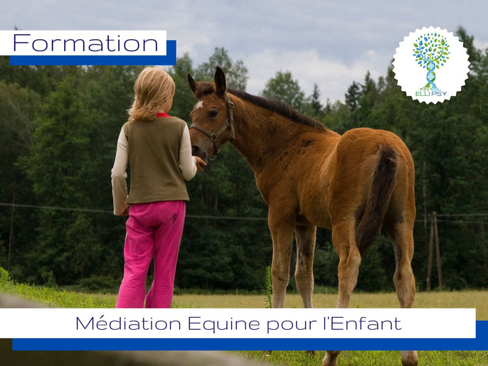 www.ellipsy.fr, formation médiation équine pour enfant, équithérapie pour l'enfant, créer des séances de médiation équine avec l'enfant