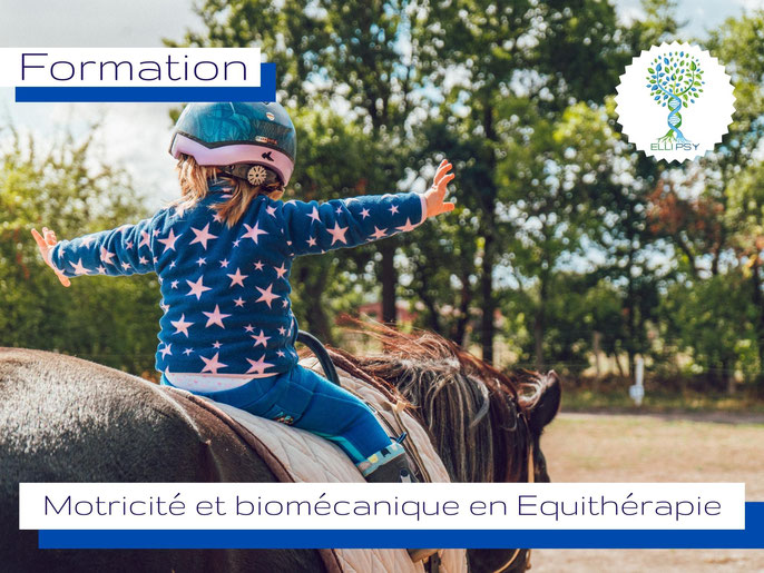 www.ellipsy.fr, formation équithérapie, rééducation par le cheval, hippothérapie